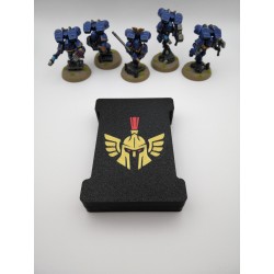 Scatola porta dadi per 15 dadi – Compatibile con giochi di guerra tipo Warhammer – ispirata agli Adeptus Custodes