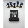 Scatola porta dadi per 15 dadi – Compatibile con giochi di guerra tipo Warhammer – ispirata ai Grey Knight