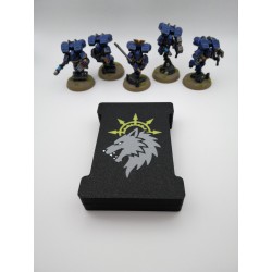 Aufbewahrungsbox für 15 Würfel – Kompatibel mit Wargames wie Warhammer – inspiriert von den Space Wolves