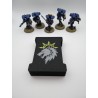 Caja para guardar 15 dados – Compatible con juegos de guerra tipo Warhammer – Inspirada en los Space Wolves