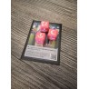 Boite de 15 dés D6 de 16mm format carte Version Lyra - Altered TCG